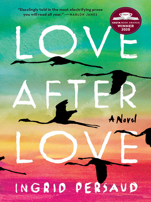 Title details for Love After Love by Ingrid Persaud - Wait list